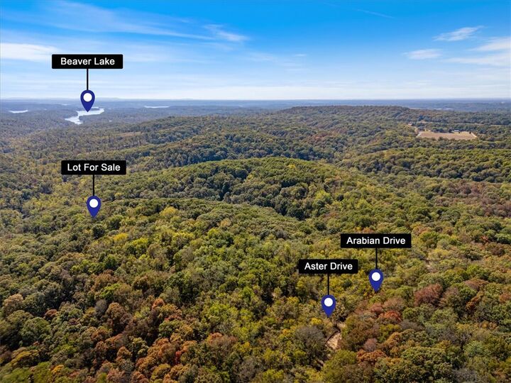 Property Photo:  Lot 265 Aster Drive  AR 72756 