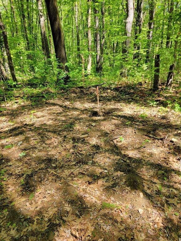 Property Photo: Lot 5 Daniels Rd MA 01507