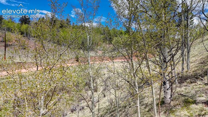 Property Photo:  2031 Gold King Drive  CO 80813 