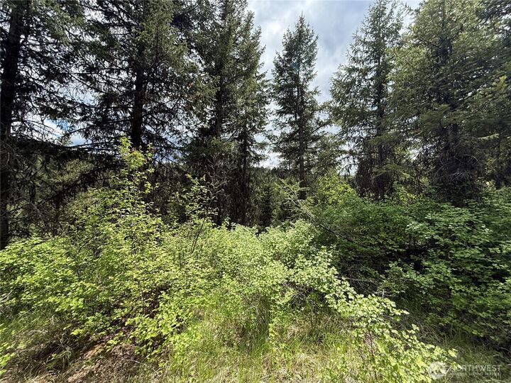 Property Photo:  0 Lot 131  Slippery Hill Road  WA 99166 