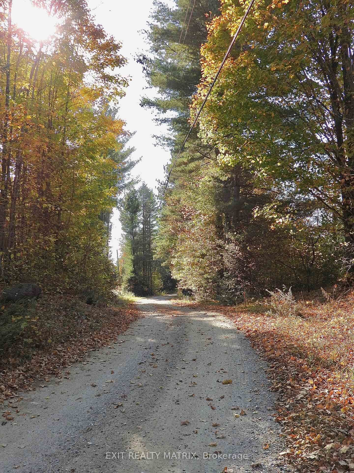 Property Photo:  Lot 1 Woodland Park Drive  ON K0H 1B0 