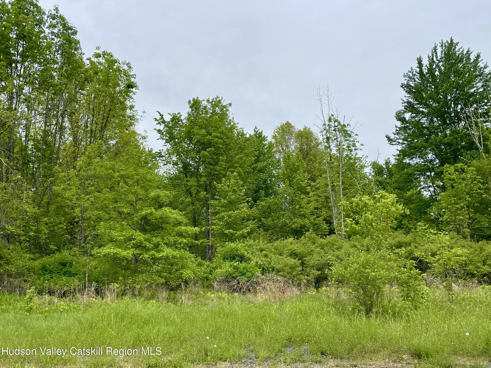 Property Photo:  Tbd Orchard  NY 12568 