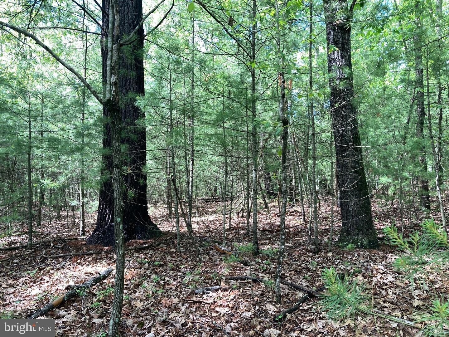 Property Photo: L7 Quaker Woods Lane WV 26711