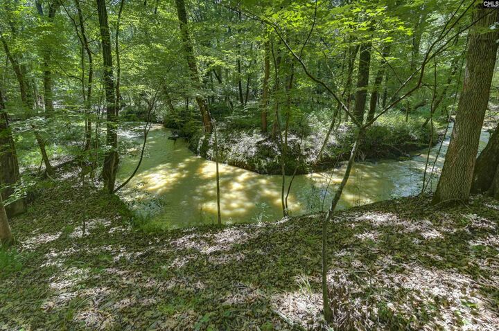 Property Photo:  Bright Myers  SC 29016 