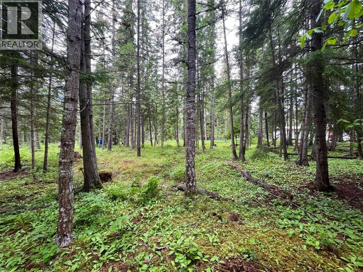 Property Photo:  5619 6 Highway  BC V0G 1R0 