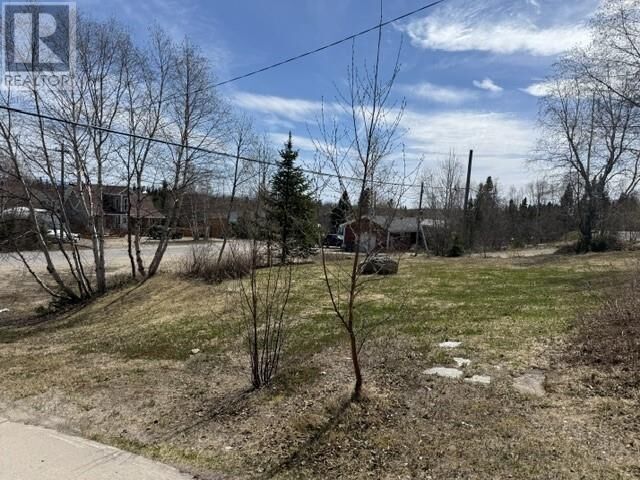 Property Photo: 29 Sunday Hill Road NL A0P 1M0