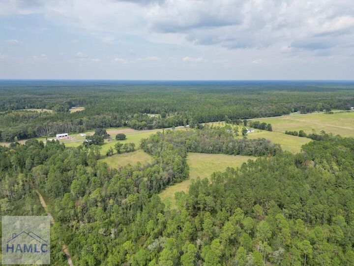 Property Photo:  15 Ac Hodges Road  GA 31313 