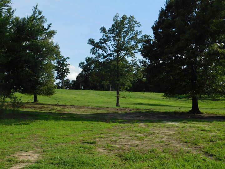 Property Photo:  Tbd Groundhog Rd  TX 75647 