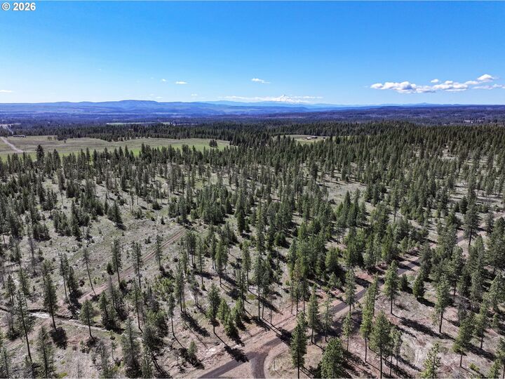 Property Photo:  Ginger Way 2  WA 98620 