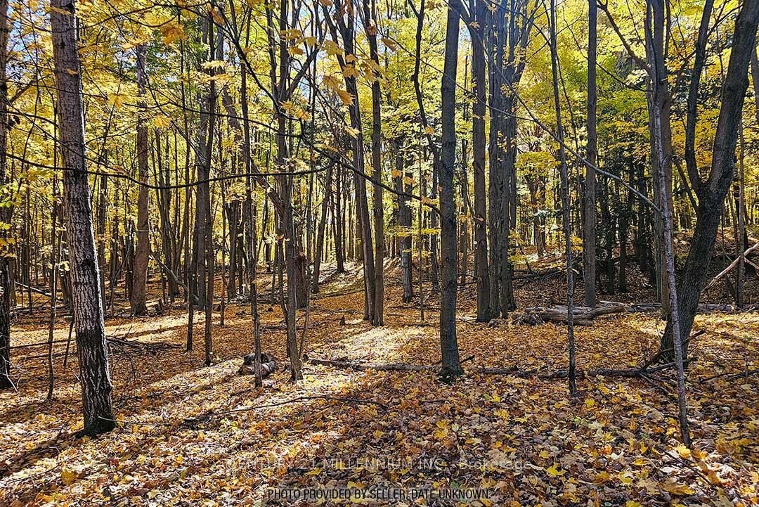 Property Photo:  17218 Innis Lake Road  ON L7K 2K6 