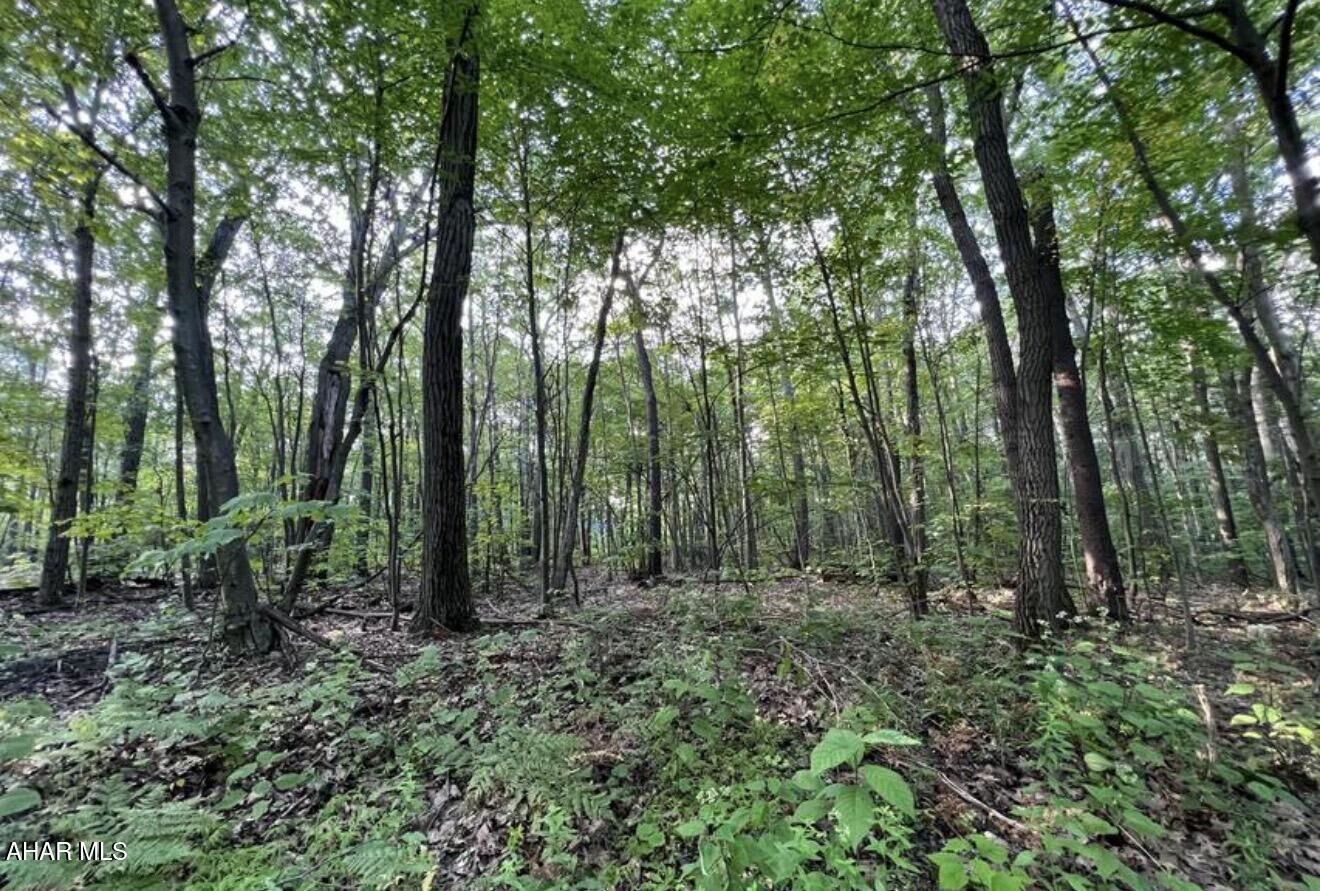 Property Photo:  116 Timberman Road  PA 16625 