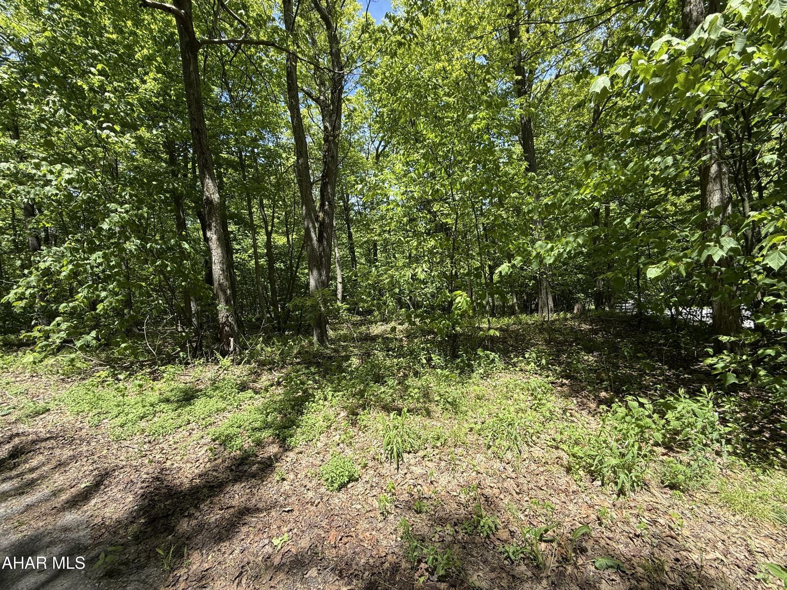 Property Photo:  116 Timberman Road  PA 16625 