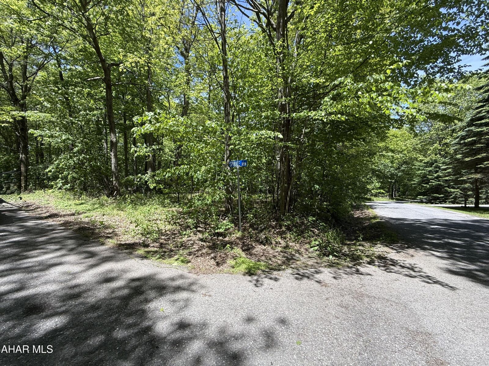 Property Photo:  116 Timberman Road  PA 16625 