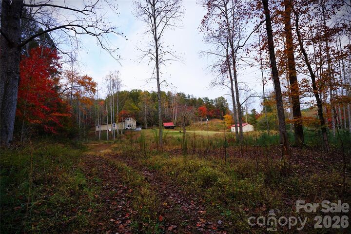 Property Photo: 1239 W McGuinn Road NC 28756