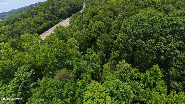 Property Photo:  195 Sherwood Lane  TN 37748 