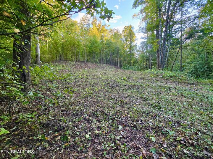 Property Photo: 195 Sherwood Lane TN 37748