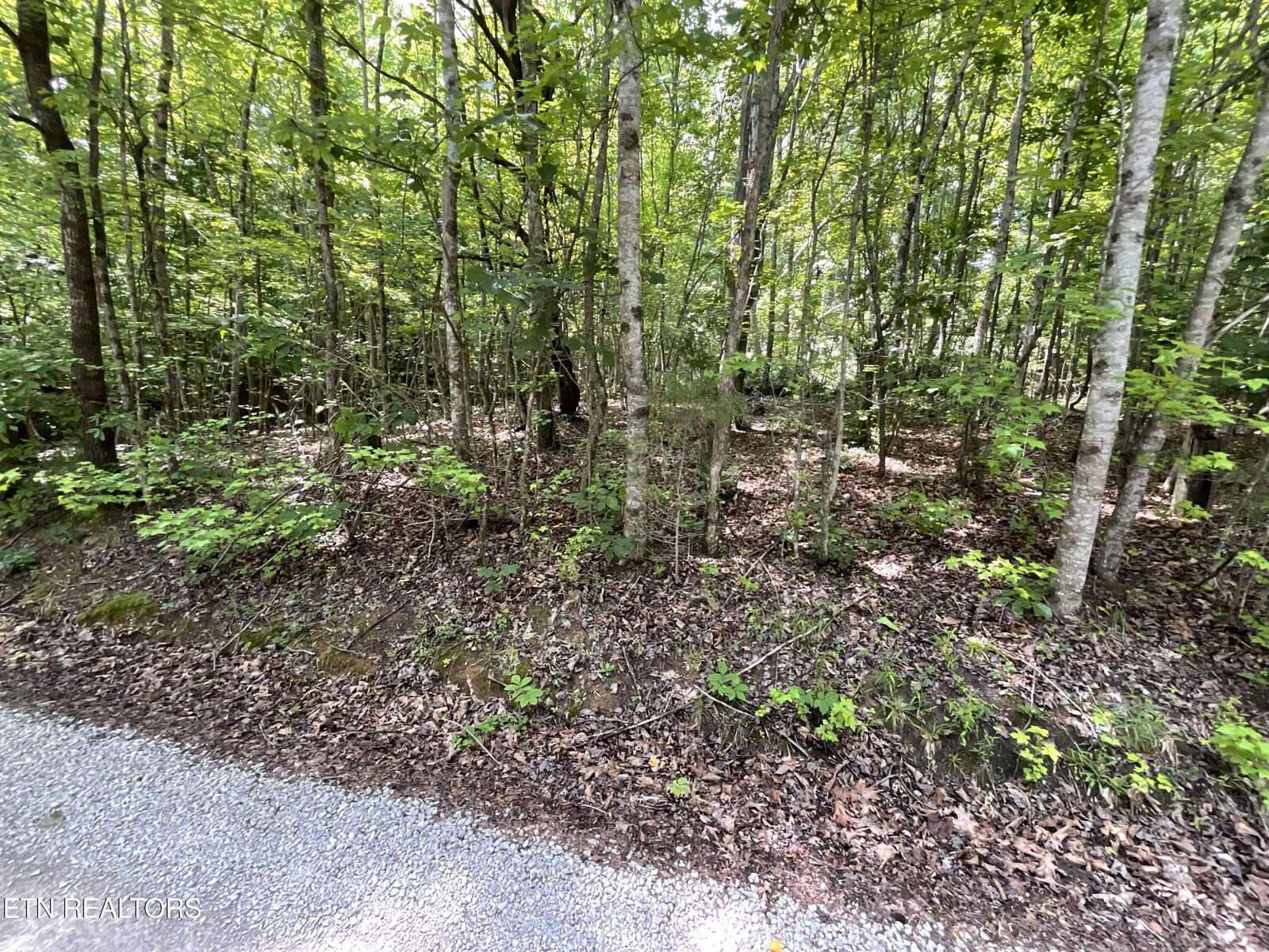 Property Photo:  Anna Laura Lane  TN 37854 