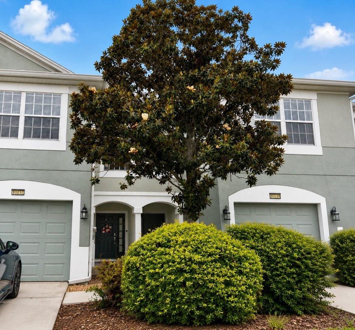 Property Photo:  10137 Pink Palmata Court  FL 33578 