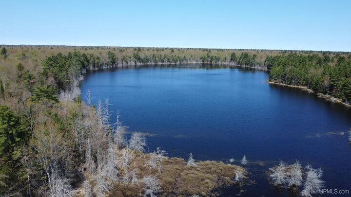 Property Photo:  Off Adams Trail Road  MI 49884 