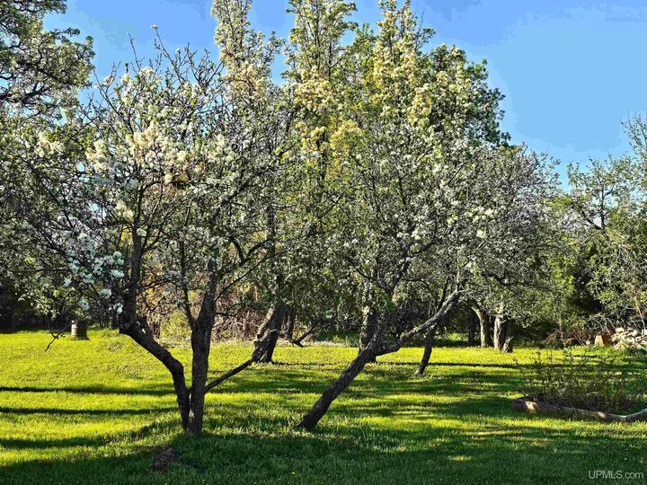 Property Photo:  50350 Lake Annie Road  MI 49930 