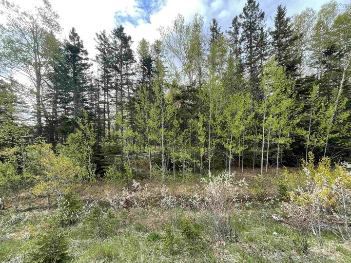Property Photo:  Lot 1A Eskasoni Road  NS B1J 1C2 