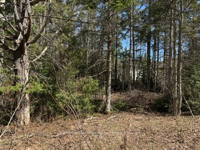 Property Photo:  000 Highway 518 West Highway  ON P0A 1Y0 