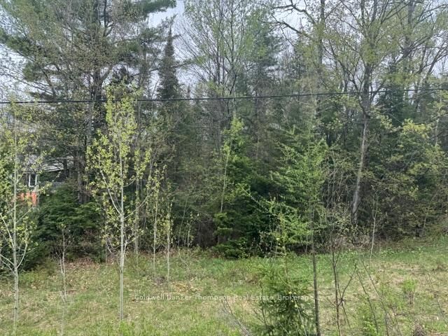 Property Photo:  00 Highway 518 West Highway  ON P0A 1Y0 