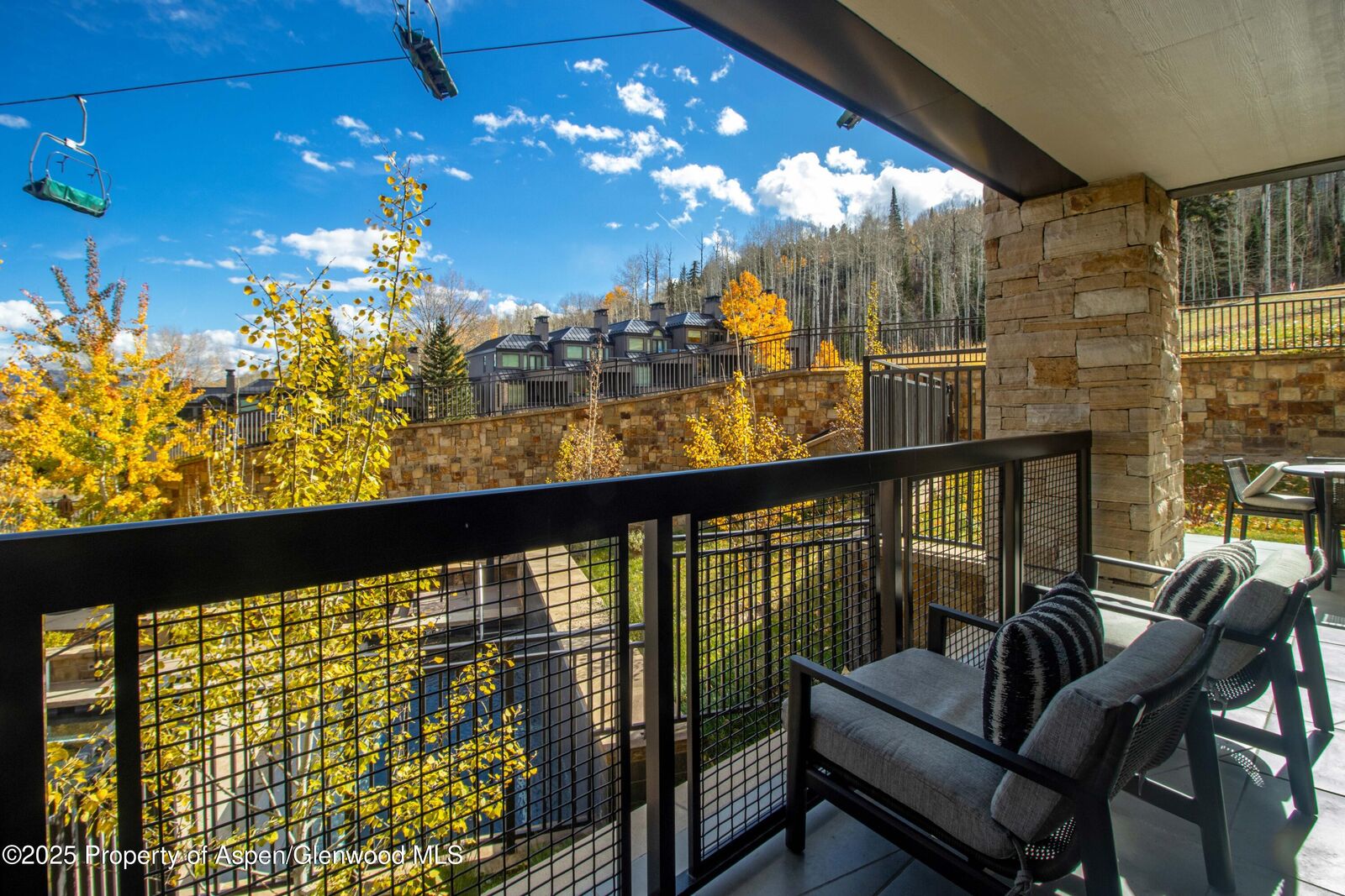 Property Photo:  130 Wood Road 151  CO 81615 