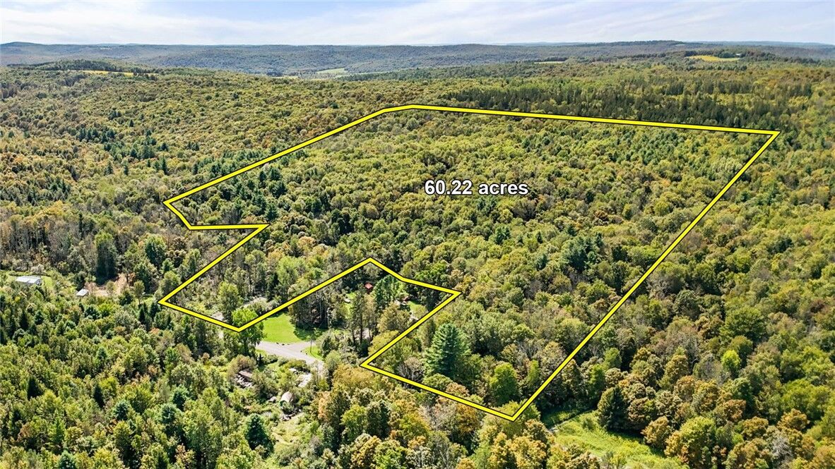 Property Photo: 541 Blackman Hill Road NY 13736