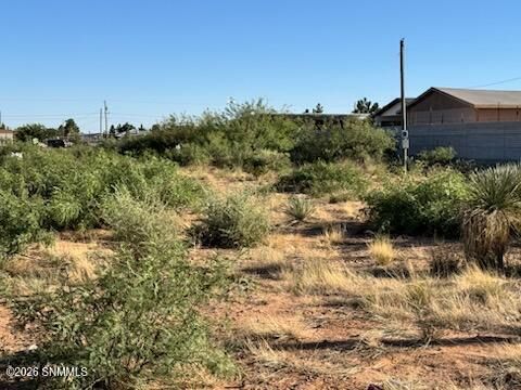 Property Photo: 905 Oasis Drive NM 88081
