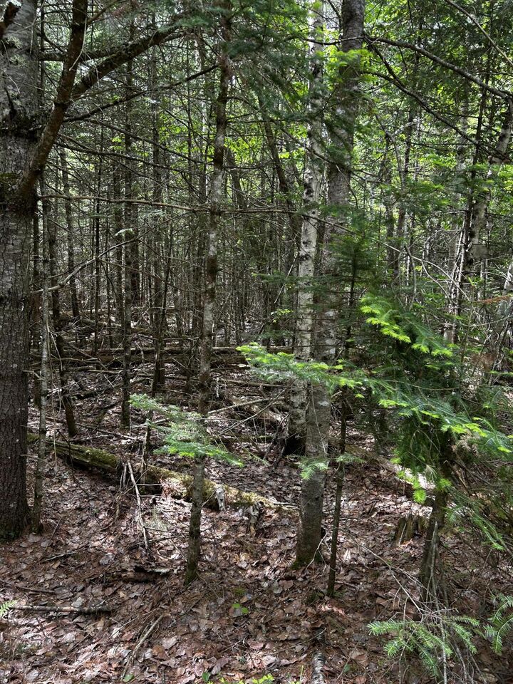 Property Photo:  Lot 9-3 Lilly Drive  ME 04953 