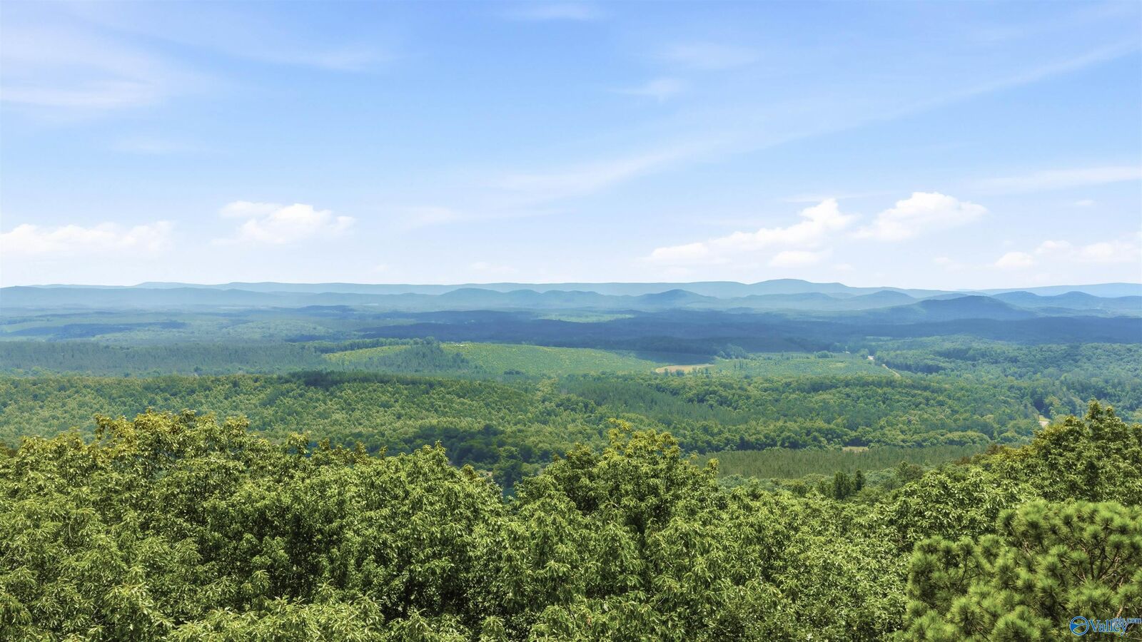 Property Photo:  773 County Road 861  AL 35973 
