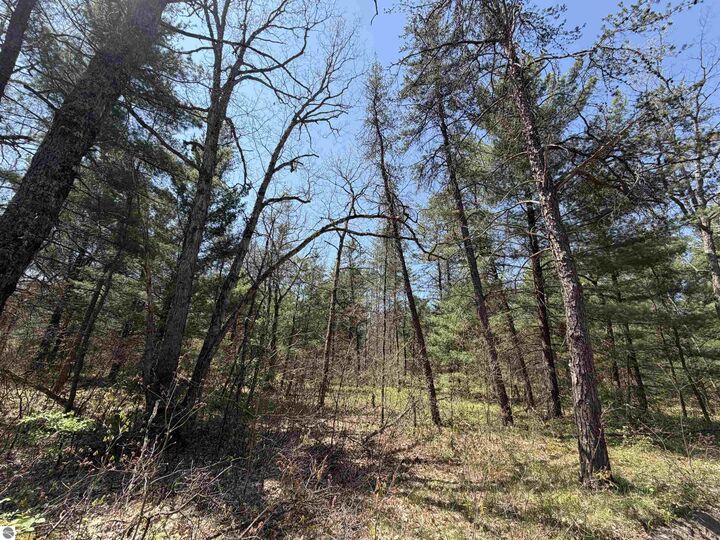 Property Photo: E Gladys Lane MI 49642