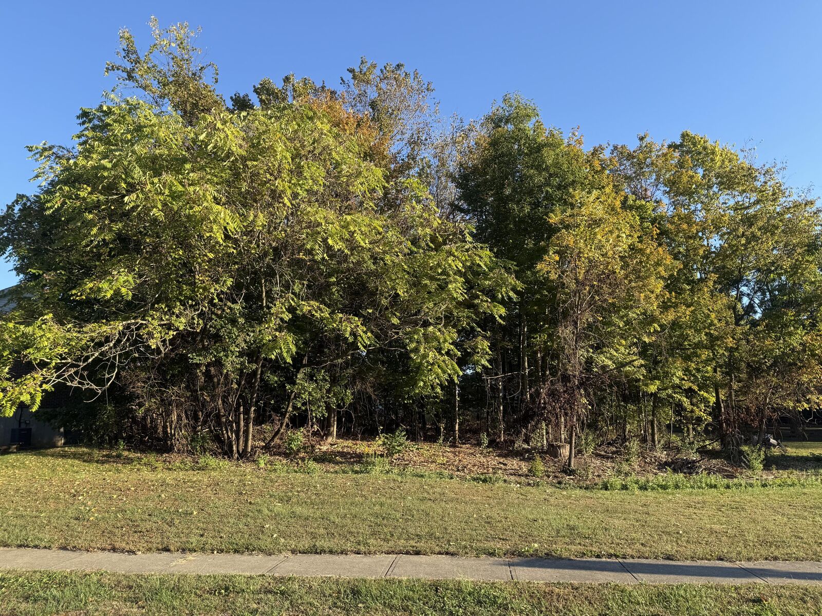Property Photo: 4895 Dartmouth Drive KY 41042