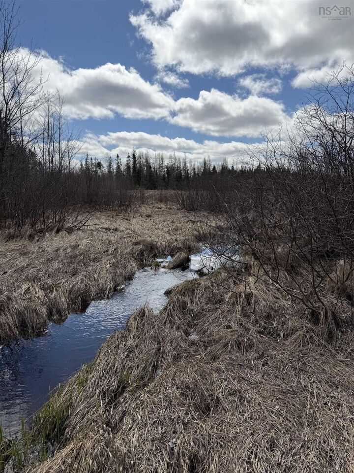 Property Photo:  Lot Cl4 Palmer Road  NS B0M 1Z0 