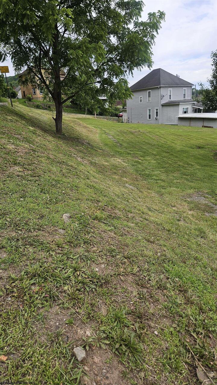 Property Photo: 239 Brook Street WV 26452