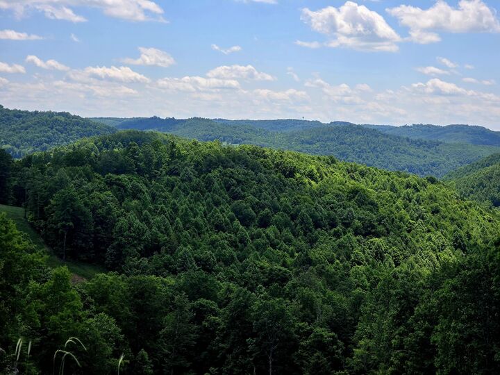 Property Photo:  1785 Odell Town  WV 26681 