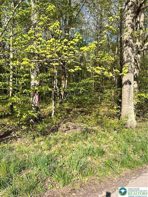 Property Photo:  318 Birch Drive  PA 18610 