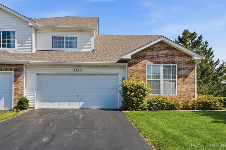 Property Photo: 541 Mallard Lane A IL 60554
