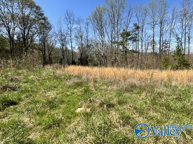 Property Photo:  19 Acres County Road 148  AL 35772 