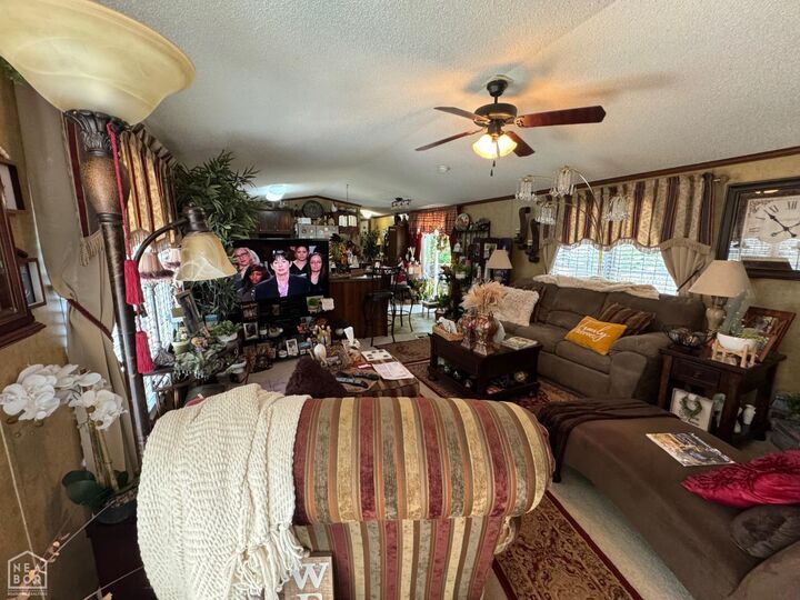 Property Photo:  3256 County Road 318  AR 72401 