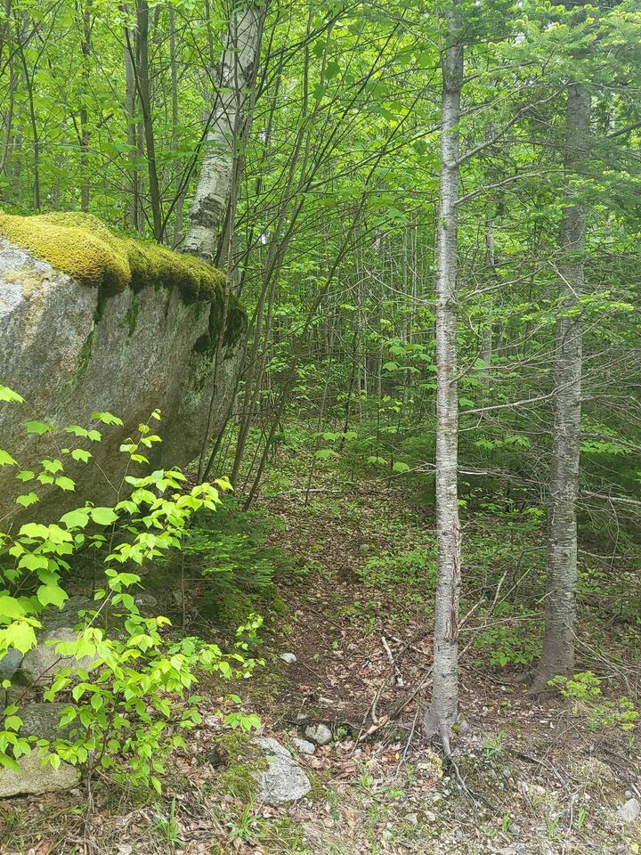 Property Photo:  0 Saphire Lane  NH 03583 
