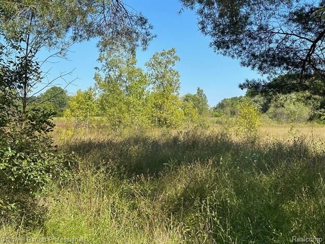 Property Photo:  1001 S Vassar Road  MI 48423 