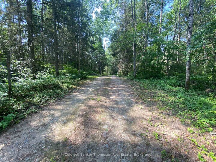 183 Sandhill Road — photo 1