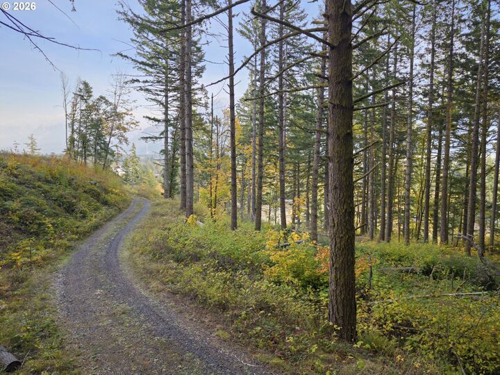 Property Photo:  0 Warren Rd 3  WA 98639 
