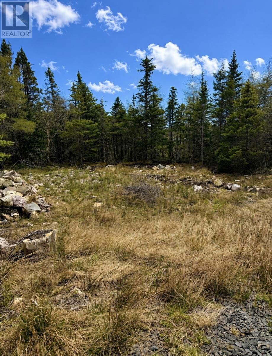 Property Photo:  241A Middle Gull Pond Road  NL A0B 1G0 