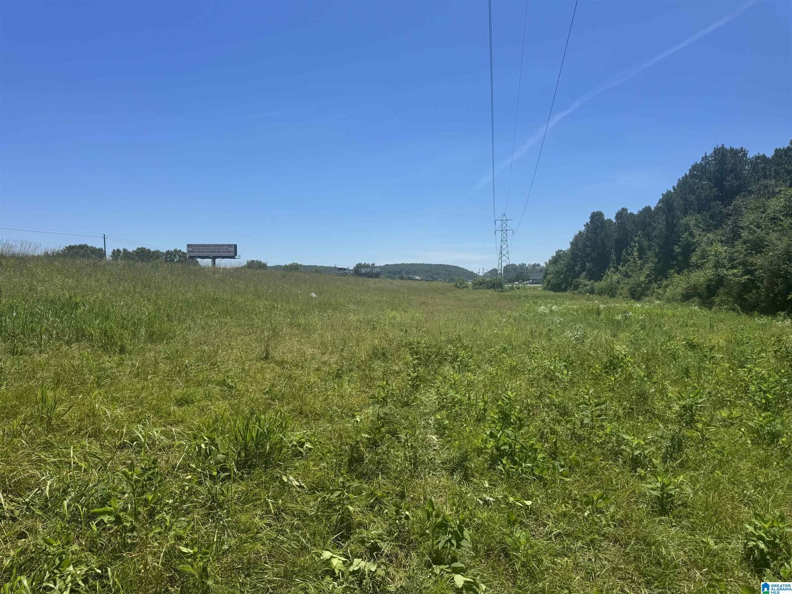 Property Photo:  0 Highway 431 0  AL 36250 
