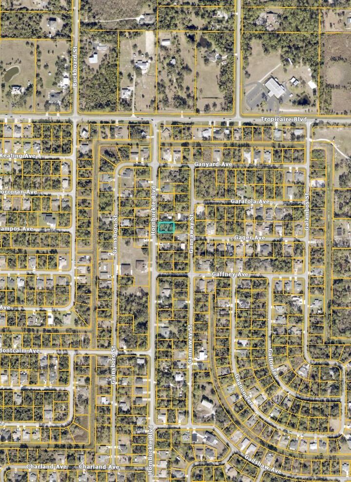 Property Photo:  Hornbuckle Boulevard  FL 34291 