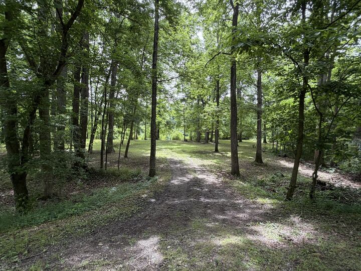 Property Photo:  00 Shoemaker Drive  IL 62966 