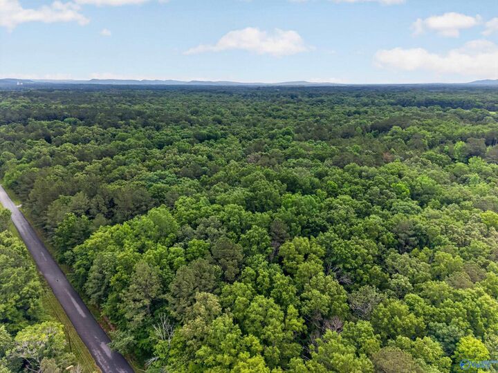 Property Photo:  2 Lots Christopher Avenue  AL 35907 